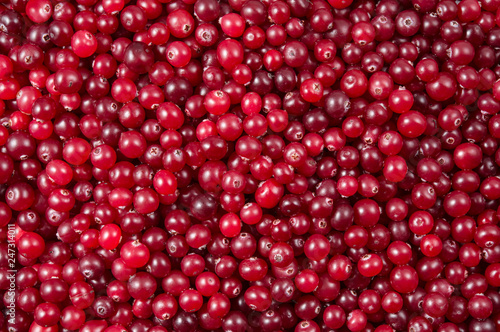 Cranberry. Cranberry background. Cranberries in water. Food background.