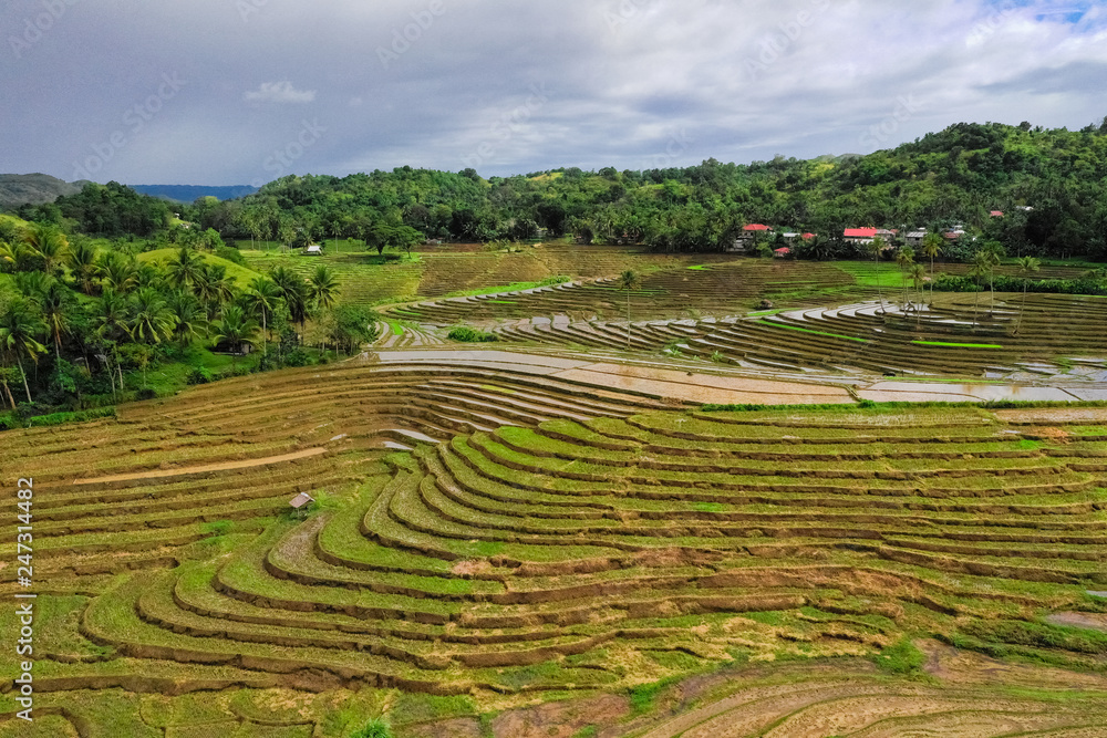 Rice terraces in the Philippines. Rice cultivation in the North of the Philippines, Batad, Banaue.