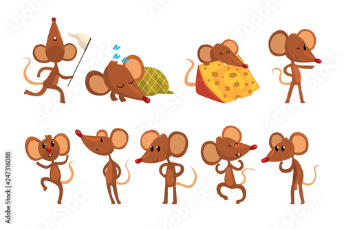 Set of cartoon mouse character in different actions. Running with sweep-net, sleeping, eating cheese, jumping, winking eye. Little brown rodent. Flat vector design