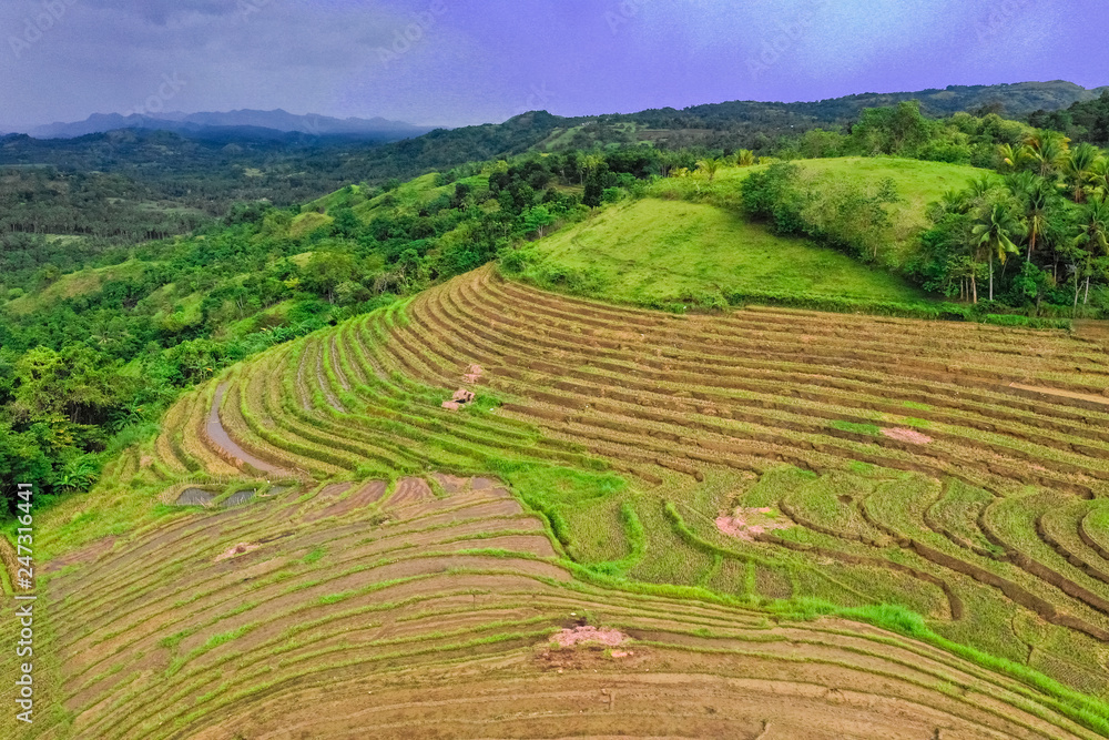 Fototapeta premium Rice terraces in the Philippines. Rice cultivation in the North of the Philippines, Batad, Banaue.