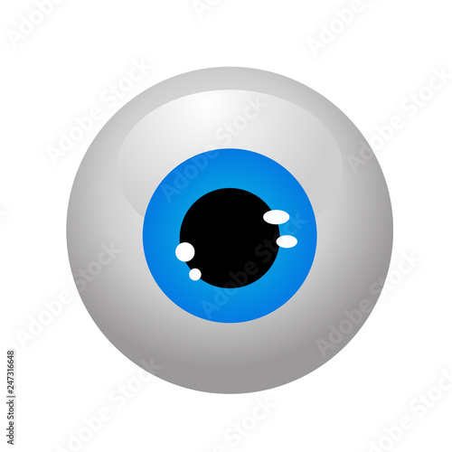 eyeballs isolated vector