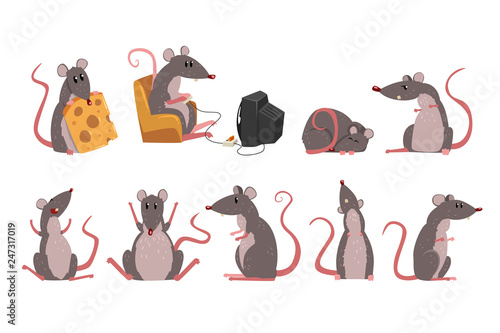 Cute grey mouse set, funny rodent character in different situations vector Illustrations