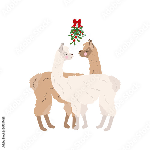 Llama under mistletoe