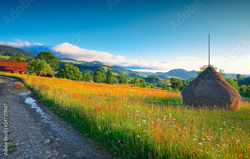 Beautiful countryside landscape with forested hills and haystacks on a grassy rural field in mountains photo