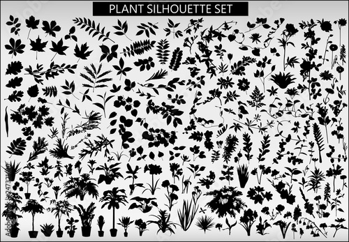 A set of silhouettes of various plants on a light gray background