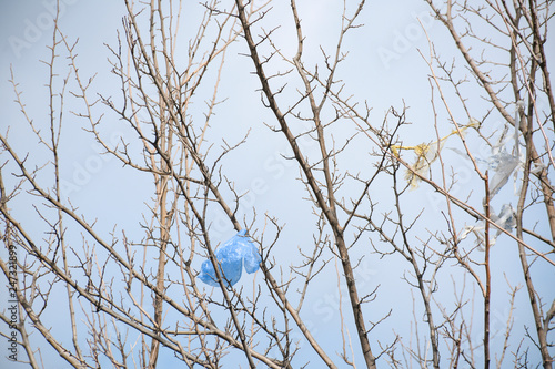 Plastic bags on the branches of trees,Nature ecology catastrophe