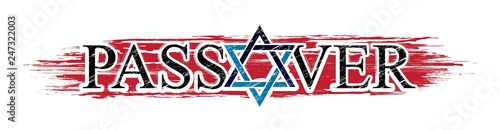 Passover wish Israel star graphic vector