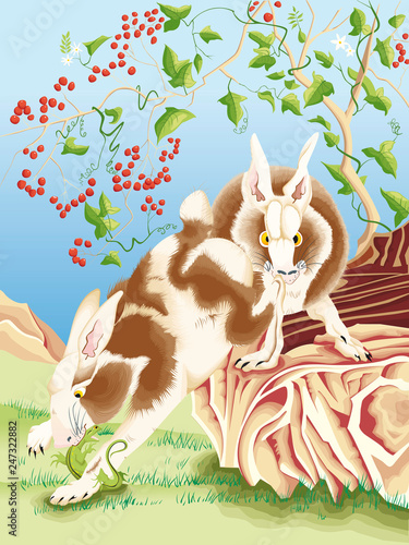 Deux étranges lapin chassant un lézard