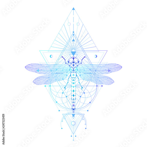 Vector illustration with hand drawn dragonfly and Sacred geometric symbol on white background. Abstract mystic sign. Colored linear shape.