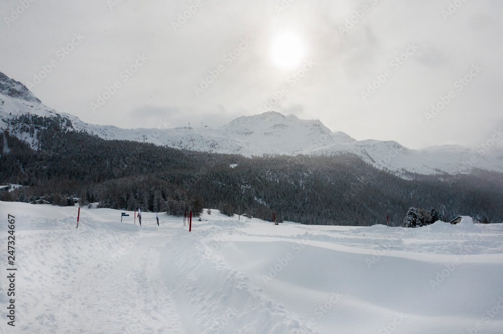 Surlej, Silvaplana, Corvatsch, Winter, Wintersport, Langlauf, Oberengadin, Graubünden, Alpen, Schweiz