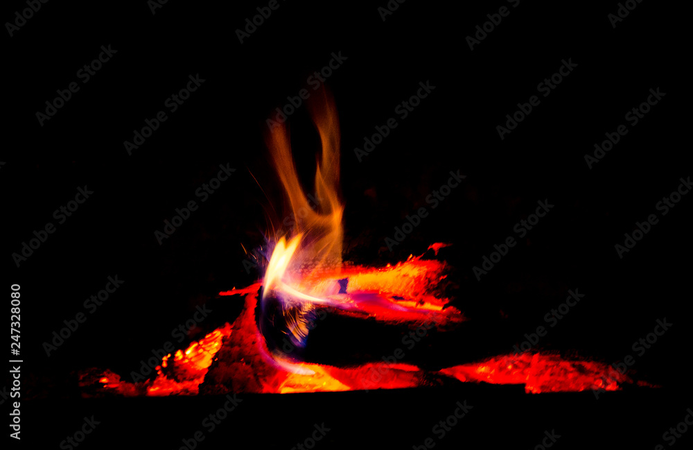 Obraz premium Red flame, dying tree,