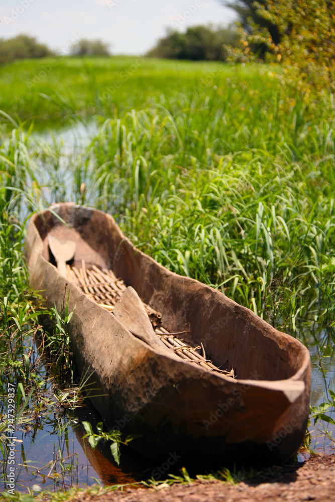 Obraz premium Mokoro on river shore