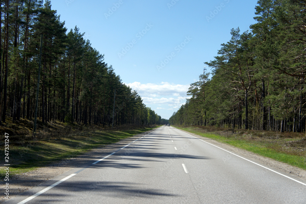 Straight road among the pine forest.Latvia