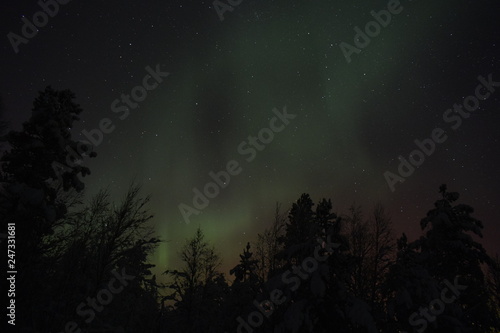 Aurora Borealis © sachin