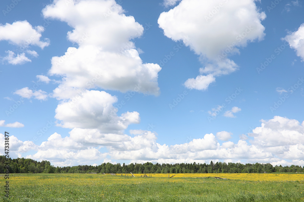 Landscape is summer. Green trees and grass in a countryside landscape. Nature summer day. Leaves on the bushes. Landscape is summer. Green trees and grass in a countryside landscape. Nature summer day. Leaves on the bushes.