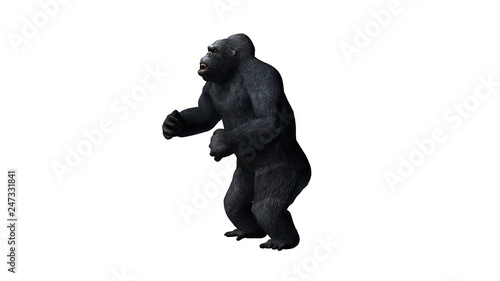 Gorilla - isolated on white background