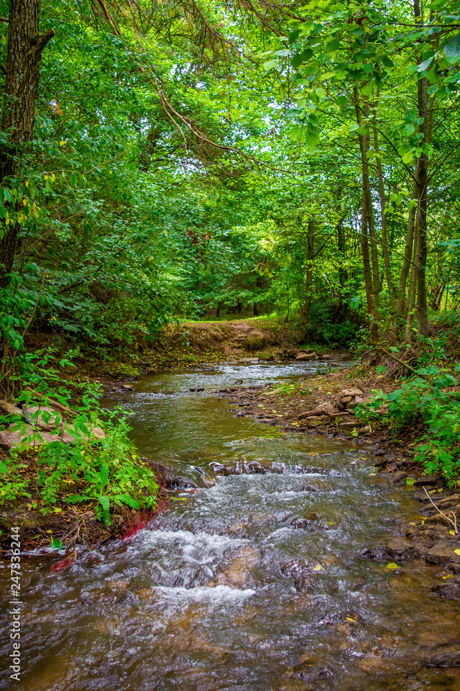 Photo of mountain river flowing through the green forest Photo of mountain river flowing through the green forest