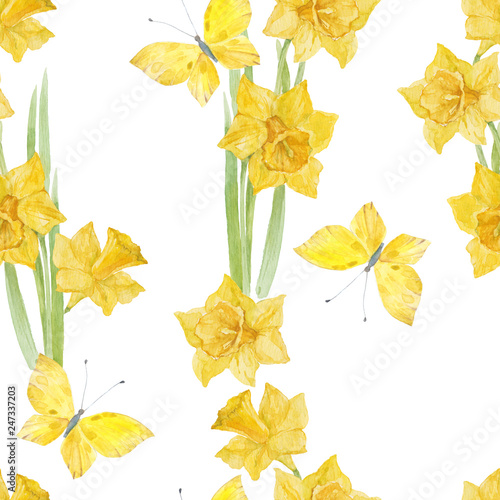 Seamless pattern with watercolor butterflies and daffodils on white background.