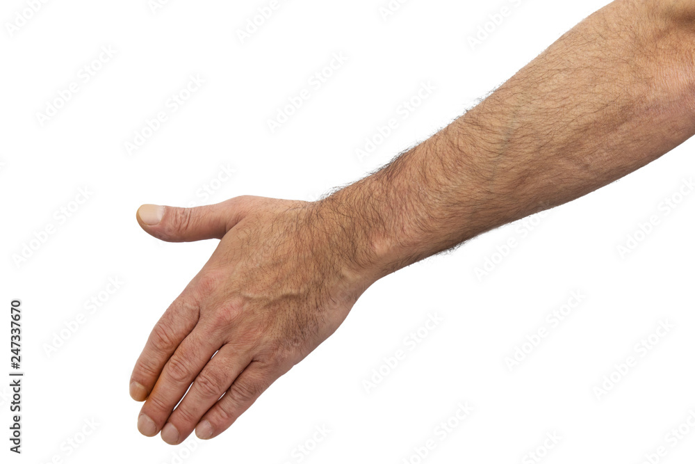 isolated hands on white background isolated hands on white background