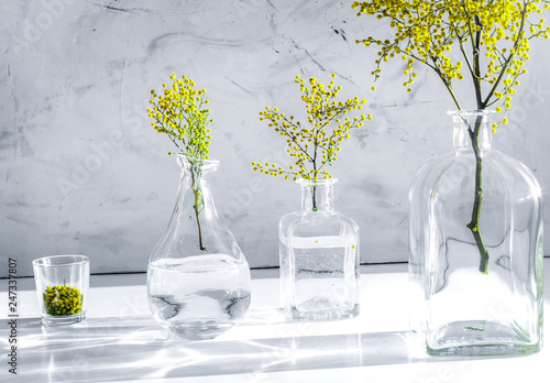 Εκτύπωση καμβά mimosa in glass vase on table close up