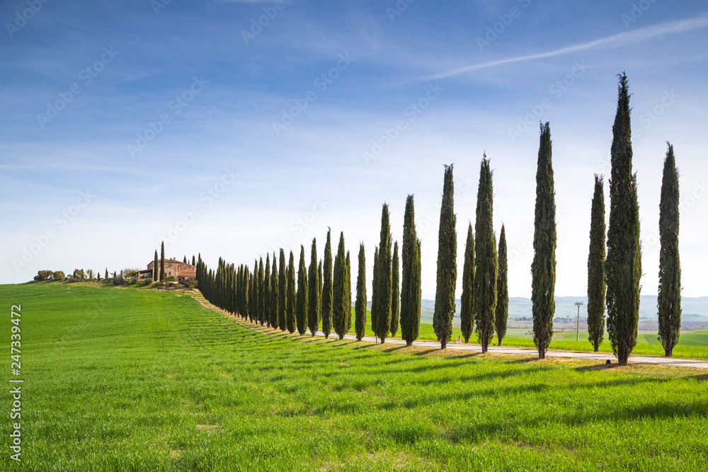 A Farmhouse near San Quirico d'Orcia with green hills and cypresses.