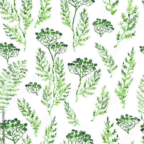 Seamless pattern with herbs, plants and flowers