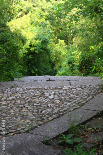 path in the park