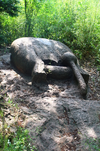 turtle on a rock