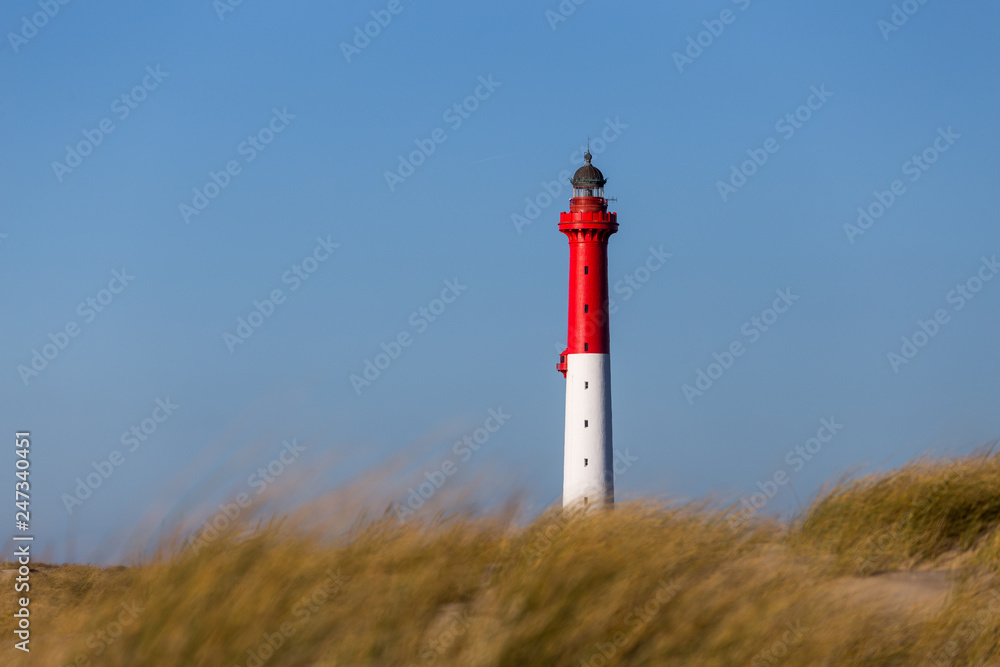 Phare de la Coubre, prés de la palmyre sur la cote sauvage en charente maritime Phare de la Coubre, prés de la palmyre sur la cote sauvage en charente maritime