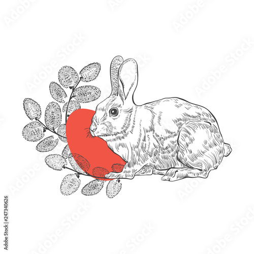 Easter background with rabbit, Pussy Willow twigs and festive Easter egg. Vector illustration on a white background. Perfect as a greeting card, invitation or element for design.