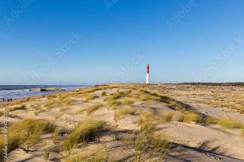 Phare de la Coubre  pr  s de la palmyre sur la cote sauvage en charente maritime 