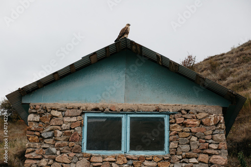 Wildlife Rehabilitation Centre