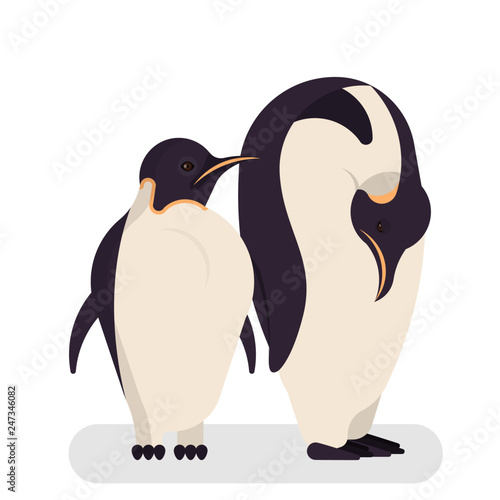 Cute penguin