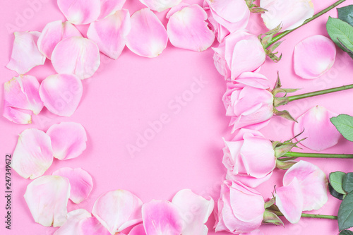 Valentine's Day.Pink rose，Valentines day background.