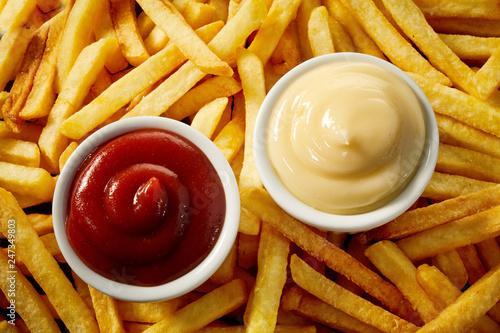 Obraz na plátně Two individual bowls of tomato sauce and mayo