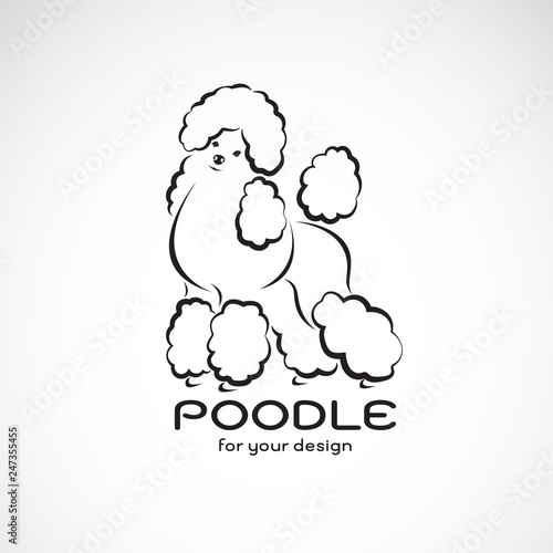 Vector of poodle dog design on white background. Pet Animal. Dog logo or icon. Easy editable layered vector illustration.