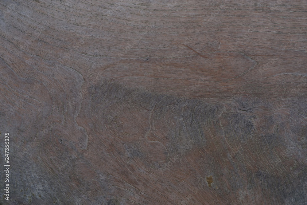 Fototapeta premium Old wood natural texture pattern background.