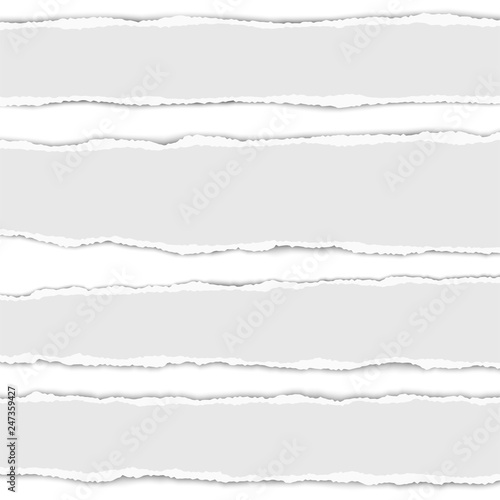 Several torn paper stripes with shadow placed on white background. Vector realistic ripped paper pieces.