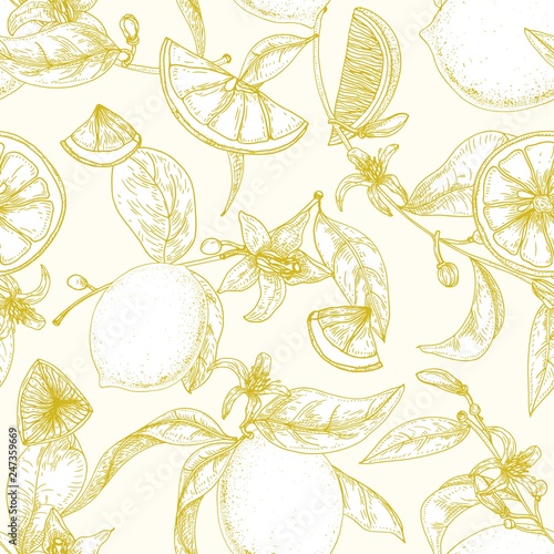 Botanical seamless pattern with ripe lemons, branches with blooming flowers and leaves hand drawn with contour lines on light background. Backdrop with tropical citrus fruits. Vector illustration.