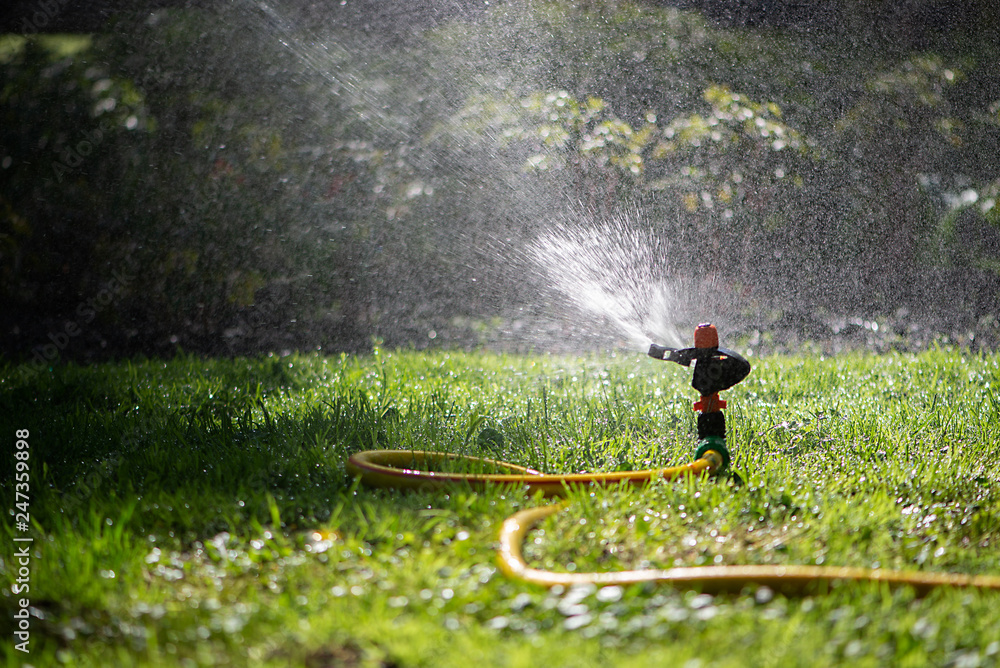 Automatic sprinkler system watering the lawn.Watering in the garden