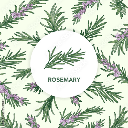 Circular label decorated by rosemary sprig
