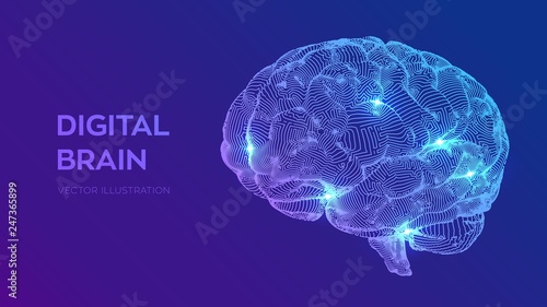 Brain. Digital brain. 3D Science and Technology concept. Neural network. IQ testing, artificial intelligence virtual emulation science technology. Brainstorm think idea. Vector illustration.