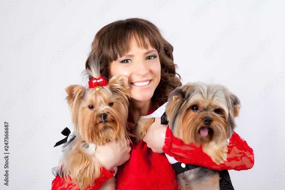 young beautiful woman with two yorkshire terriers in photo studio. dogs in costumes for boy and girl, woman in red dress young beautiful woman with two yorkshire terriers in photo studio. dogs in costumes for boy and girl, woman in red dress