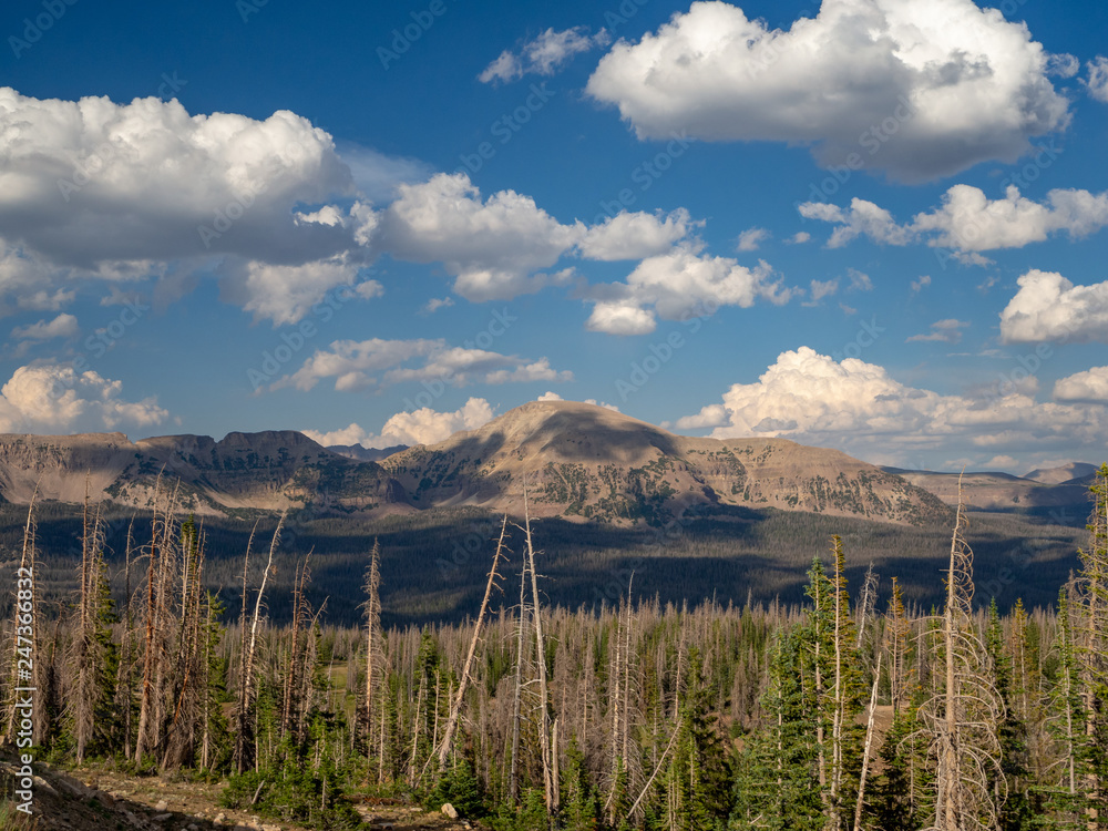 Uinta-Wasatch-Cache National Forest, Mirror Lake, Utah, United States, America, near Slat Lake and Park City Uinta-Wasatch-Cache National Forest, Mirror Lake, Utah, United States, America, near Slat Lake and Park City