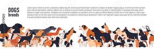Background with place for text and different thoroughbred dogs. horizontal orientation banner, flyer, header for site.
