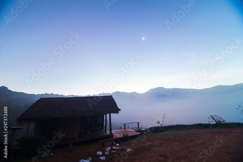 Nature landscape sunrise with fog in morning tea field