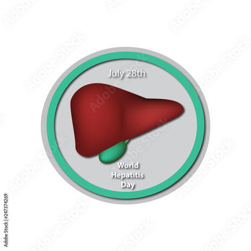 World Hepatitis Day - July 28. Liver. Gallbladder. Baner. Infographics. Vector illustration on isolated background