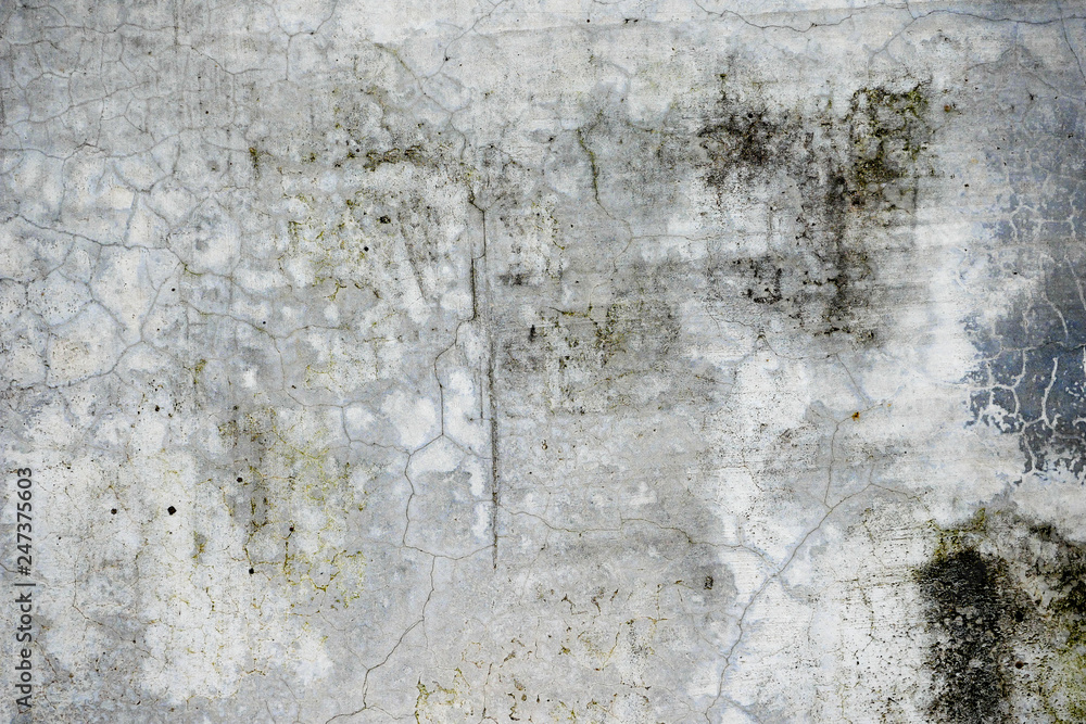 Fototapeta premium Old grunge abstract background texture dirty concrete wall