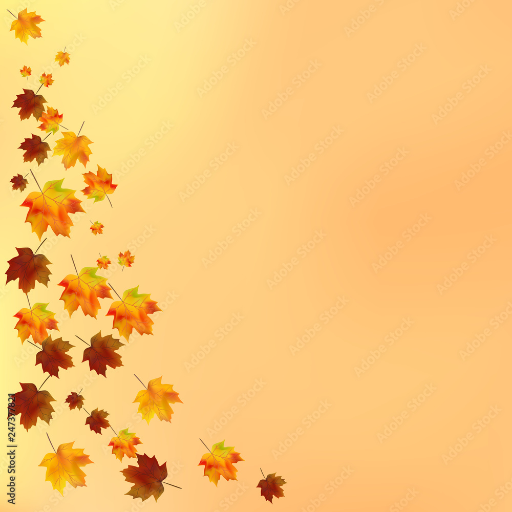 Autumn background with maple  leaves.