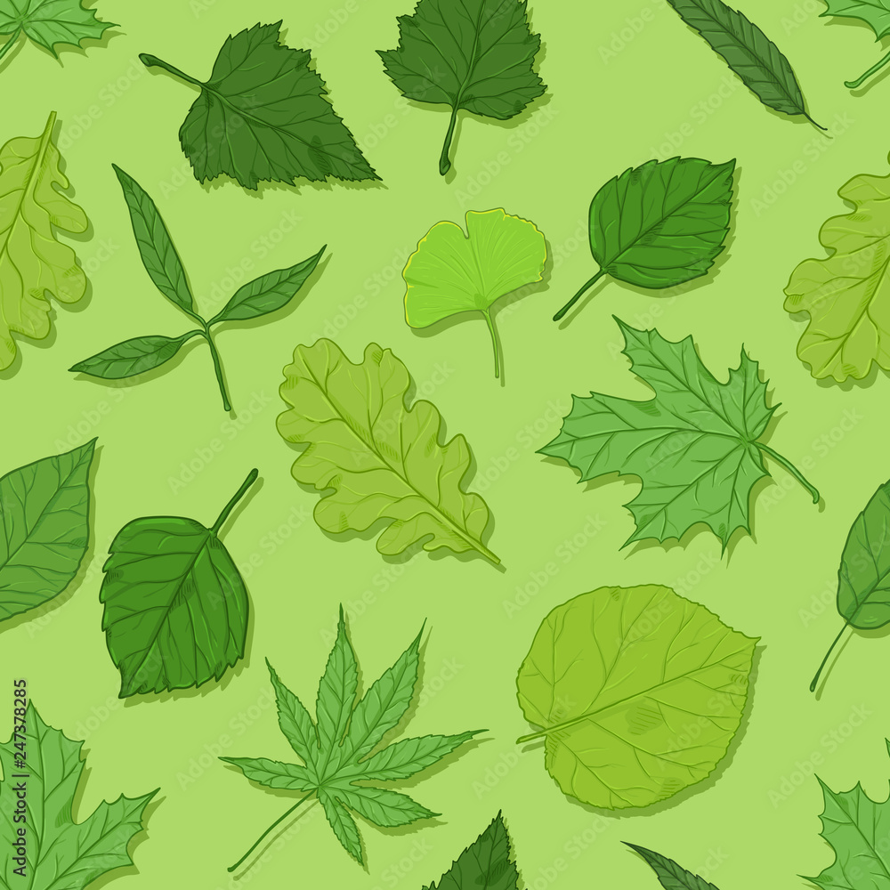 Vector Seamless Spring Pattern with Leaves on Green Background